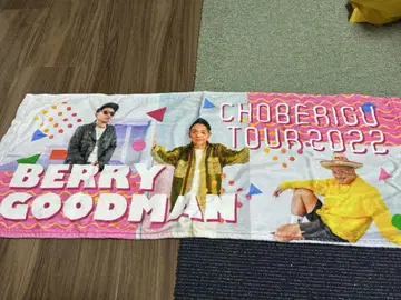 베리 굿맨 타월