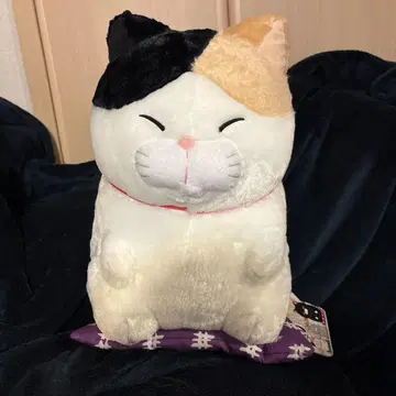 수염 만주 정좌 2 빅 봉제 인형 삼색 고양이 미사마
