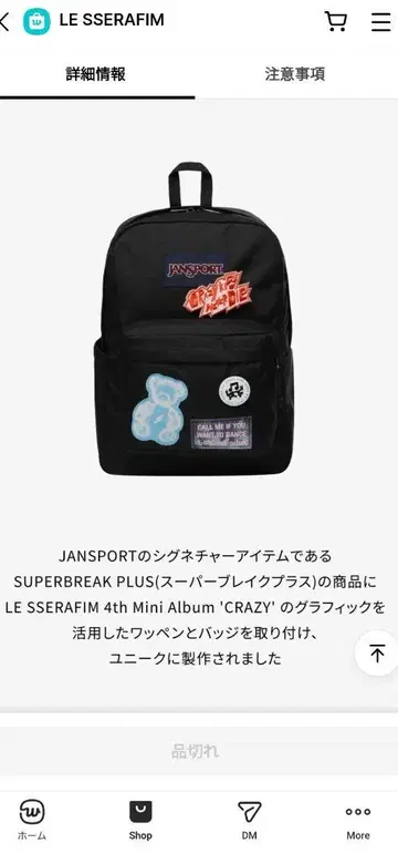 LE SSERAFIM CRAZY 디자인 백팩