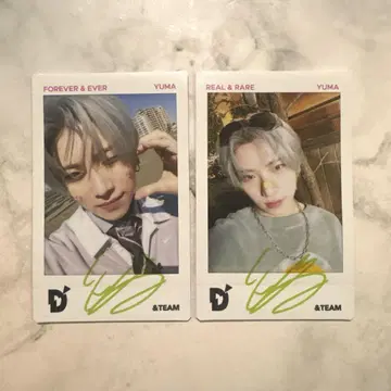 &TEAM DPARTMENT 폴라로이드 유마 2장 세트