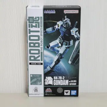 로봇혼 RX-78-2 GUNDAM 어스 컬러