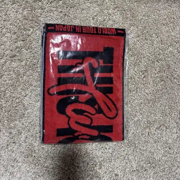 TWICE 타월 체영