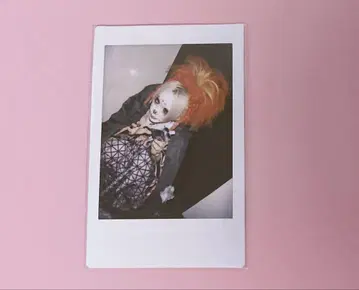 흠집 쿄노스케 폴라로이드