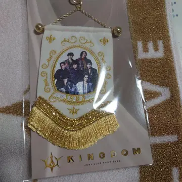 2025 KINGDOM LIVE TOUR 비주얼 미니 태피스트리