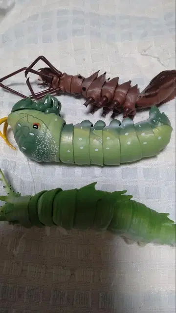 곤충 3개 세트