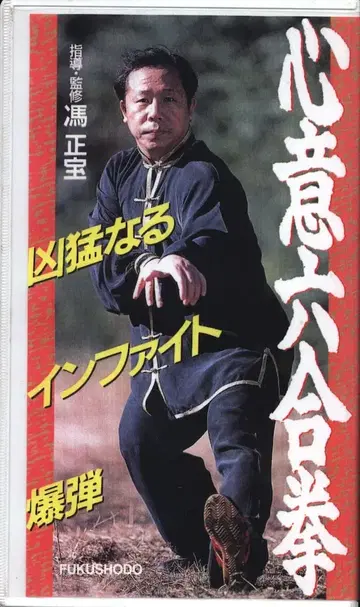 VHS 펑정보 심의육합권