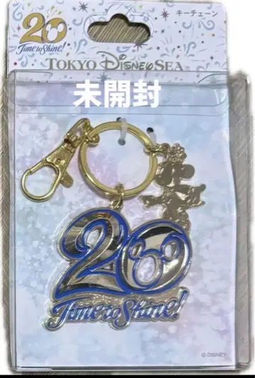[미개봉] 디즈니씨 20주년 키체인