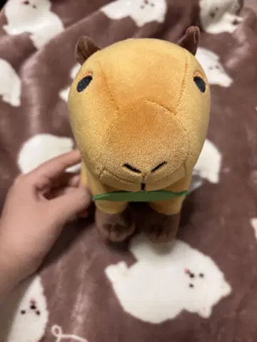 카피바라 봉제 인형