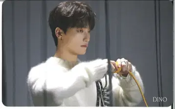 SEVENTEEN FACE THE SUN DINO 트레이딩 카드 HMV