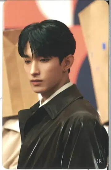 SEVENTEEN FACE THE SUN DK 트레이딩 카드