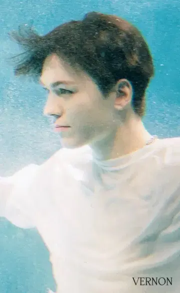 SEVENTEEN FACE THE SUN VERNON 트레이딩 카드