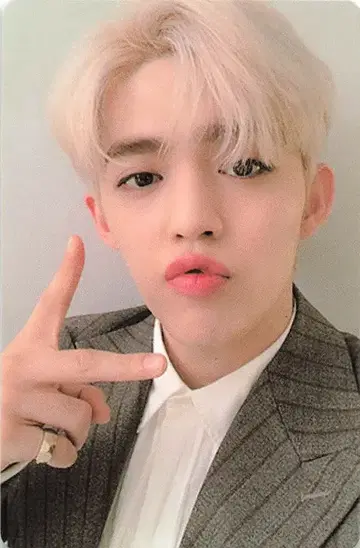 SEVENTEEN An Ode S.COUPS 트레이딩 카드 보라색