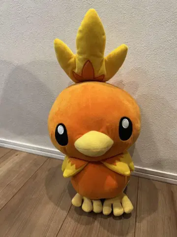 포켓몬스터 아차모