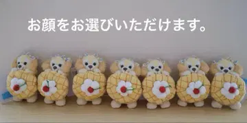 쿠키 앤 봉제 인형 배지 필드 위드 조이! 더피 & 프렌즈