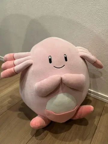 포켓몬스터 럭키