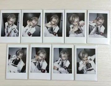 Sadie 검 폴라로이드