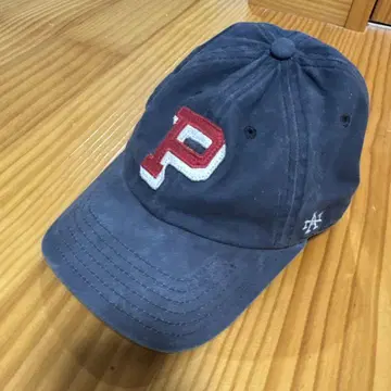 AMERICAN NEEDLE 캡