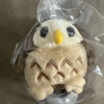 행운의 올빼미 봉제 인형