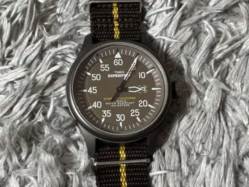 스탠다드 캘리포니아 TIMEX EXPEDITION
