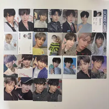 txt 태현