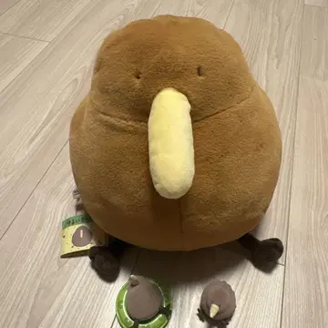 느슨한 키위 세트
