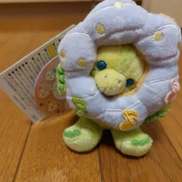 필드 위즈 조이 올메르 누이바