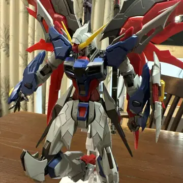 1/100 데스티니
