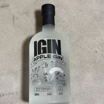 IGIN 애플 진 500ml
