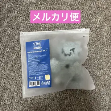 TWS TRY WITH US 플러시 키링 (고양이)
