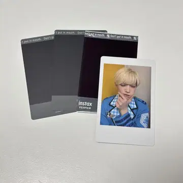 팬더 드래곤 파라곤 타이카 하피카 폴라로이드