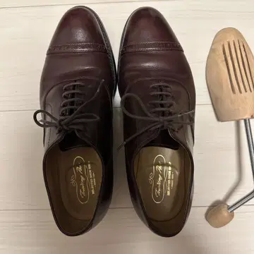 HICKOK 트레이딩 엽서 캡토 8