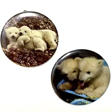 야기야마 북극곰 쌍둥이 캔뱃지