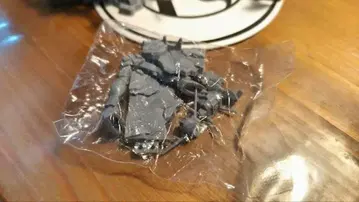 초코 사프 건담 시크릿