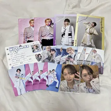 고토 슈타 Lienel 세트