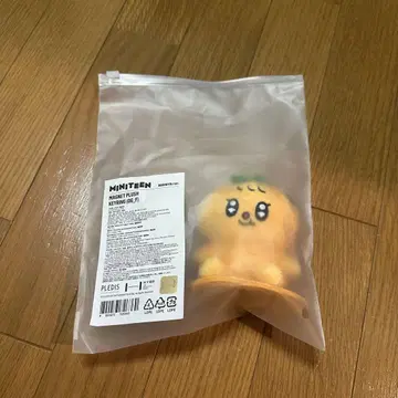 MINITEEN 성광 MAGNET PLUSH KEYRING