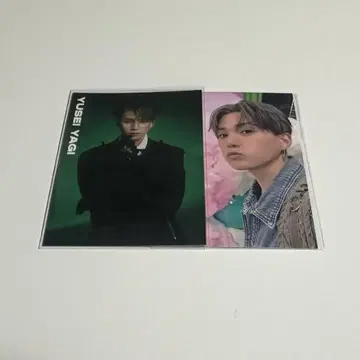 야기 유세이 트레이딩 카드