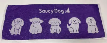 saucy dog 타월