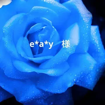 귀걸이 모음
