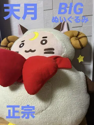 아마츠키 봉제 인형 빅 특대형 AMATSUKI 한정판 마사무네