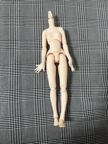 아존 인터내셔널 퓨어니모 체형