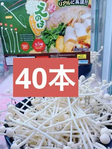 에노키 볼 체인 키링 대량