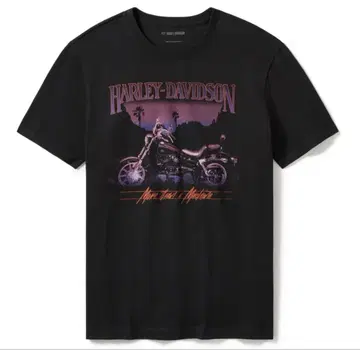 HARLEY DAVIDSON 로우 라이더 선 다운 티셔츠
