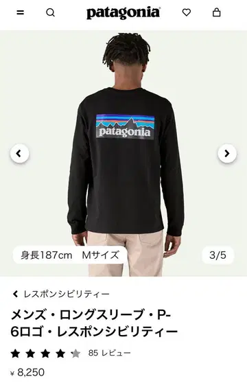 파타고니아 롱티