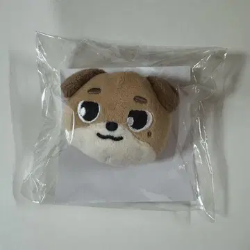 DAY6 도운 봉제 인형 배치