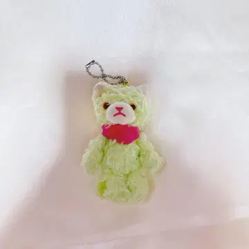파라치아 프리캐 쁘띠
