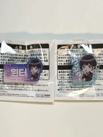 aespa 윈터 이름 아크릴 배지 2개 남코 한정판