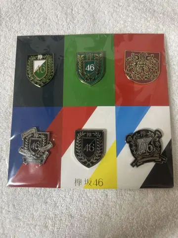 Keyakizaka46 핀 배지 6개 세트
