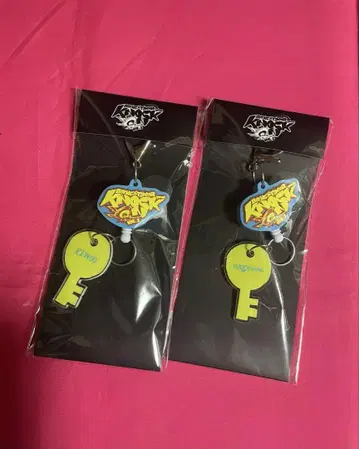 BOYNEXTDOOR 낚시릴 키링 리우 운학 세트