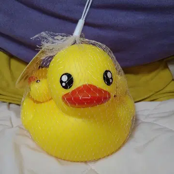 푸카푸카 오리 4개 세트