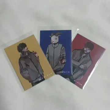 chevon 트레이딩 카드 3장 세트